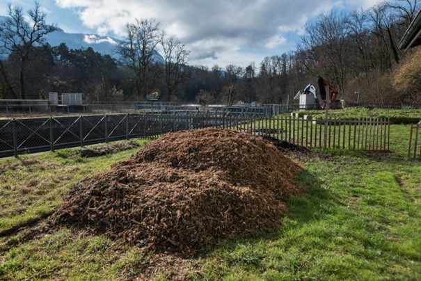 Fichier:Broyat pour améliorer la MA d'une surface.jpg