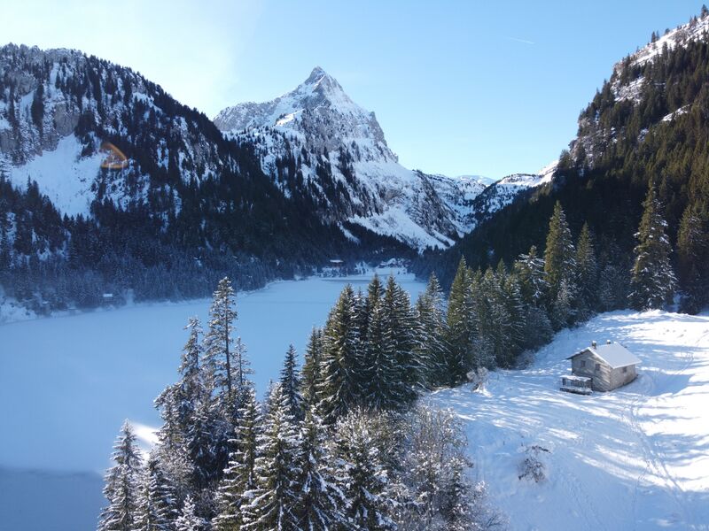 Fichier:Taney hiver.jpg